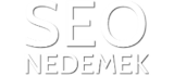 SEO Ne Demek
